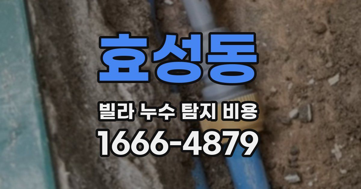 효성동 빌라 누수 탐지 비용