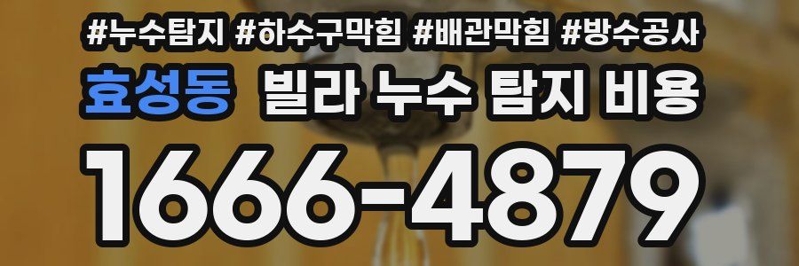 효성동 빌라 누수 탐지 비용