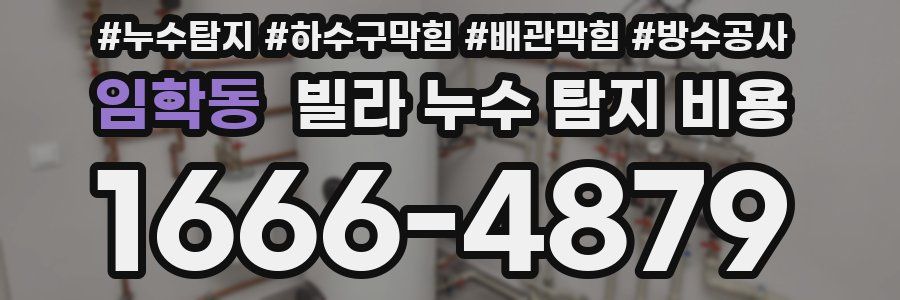 임학동 빌라 누수 탐지 비용