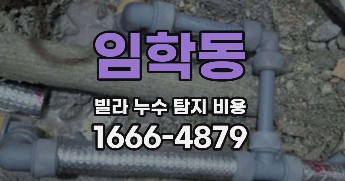 임학동 빌라 누수 탐지 비용