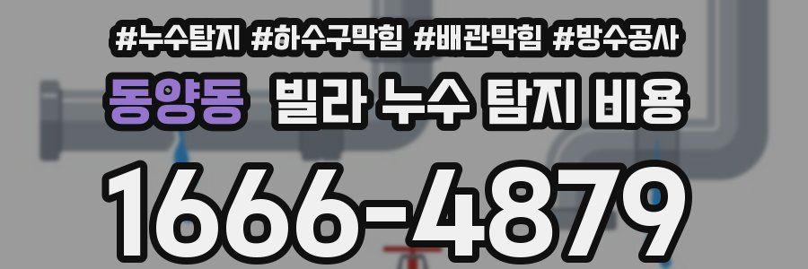 동양동 빌라 누수 탐지 비용
