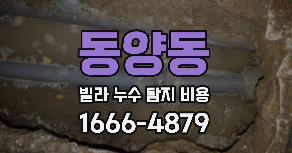 동양동 빌라 누수 탐지 비용