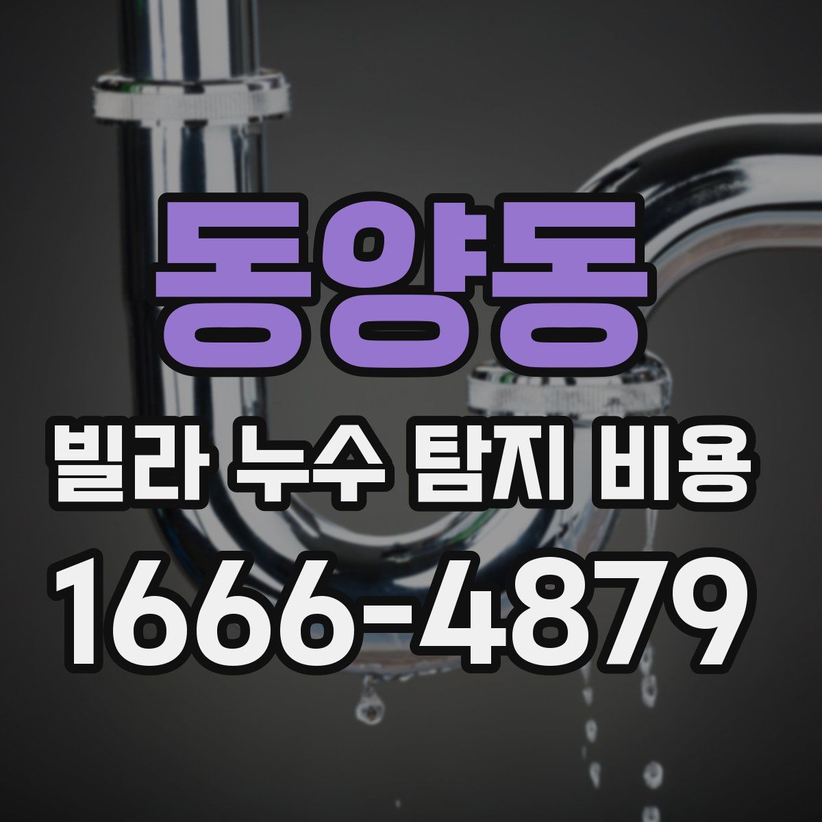 동양동 빌라 누수 탐지 비용