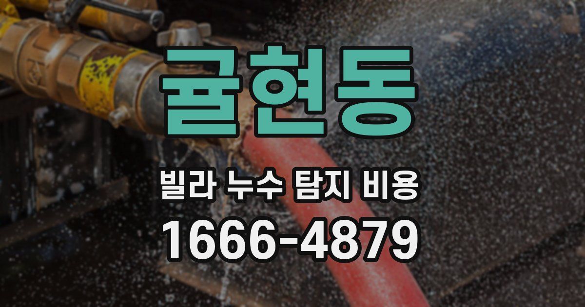 귤현동 빌라 누수 탐지 비용