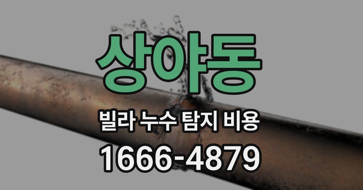 상야동 빌라 누수 탐지 비용