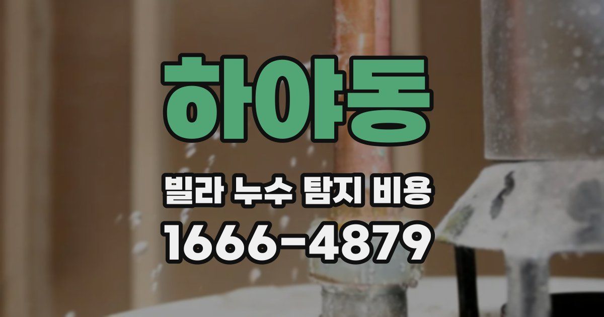 하야동 빌라 누수 탐지 비용