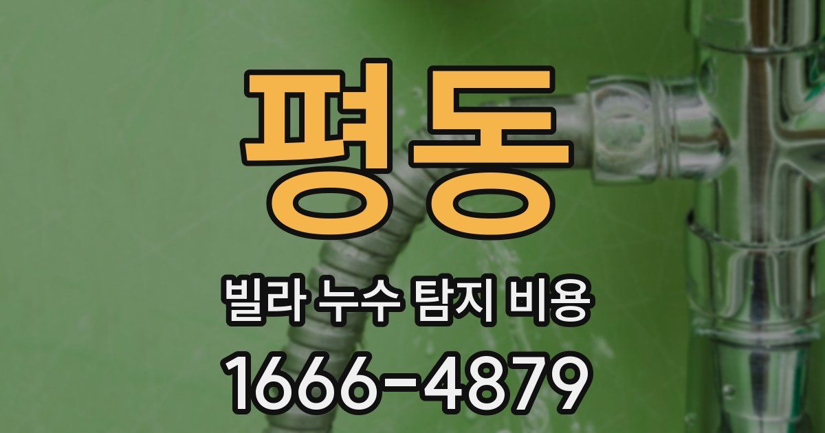 평동 빌라 누수 탐지 비용
