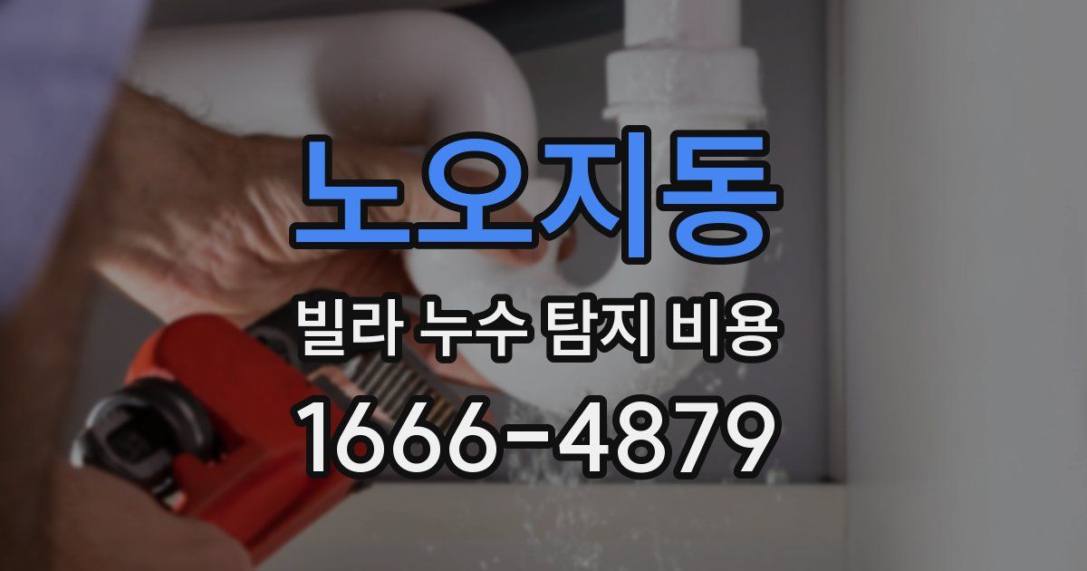 노오지동 빌라 누수 탐지 비용