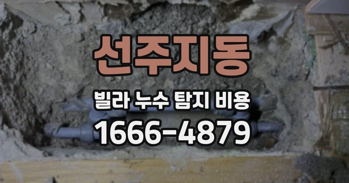 선주지동 빌라 누수 탐지 비용