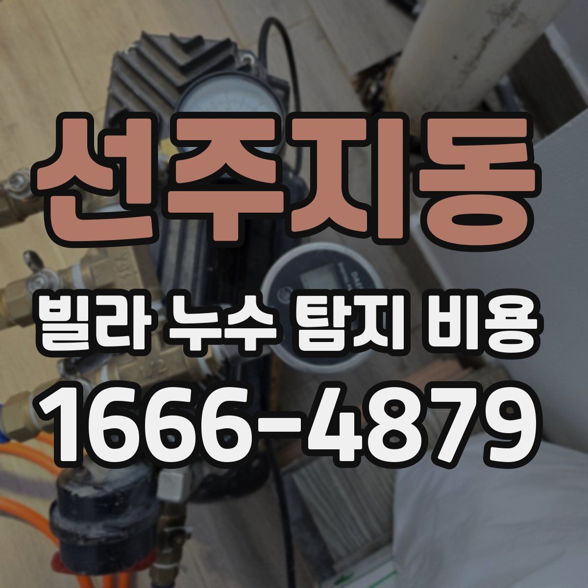 선주지동 빌라 누수 탐지 비용