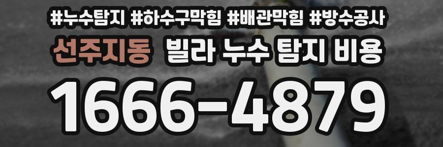 선주지동 빌라 누수 탐지 비용