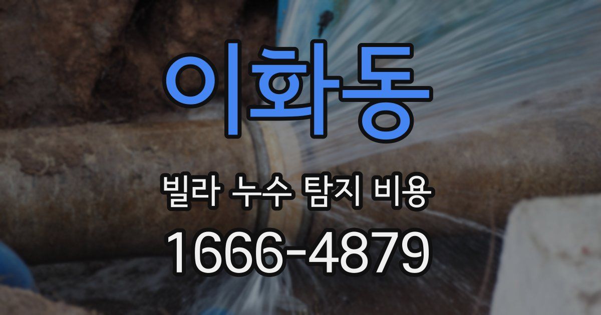 이화동 빌라 누수 탐지 비용