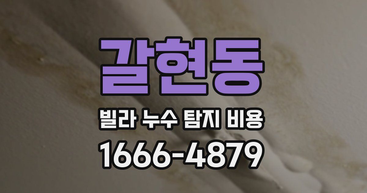 갈현동 빌라 누수 탐지 비용