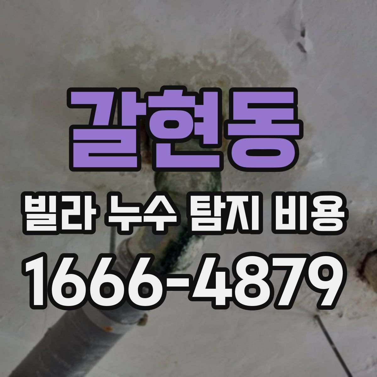 갈현동 빌라 누수 탐지 비용