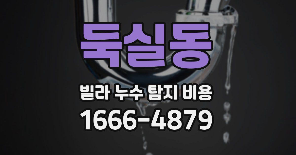 둑실동 빌라 누수 탐지 비용