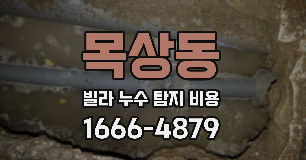 목상동 빌라 누수 탐지 비용