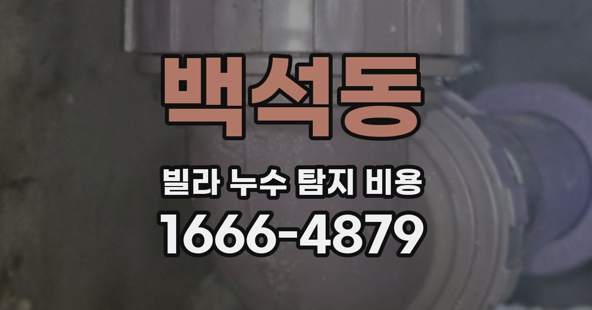 백석동 빌라 누수 탐지 비용