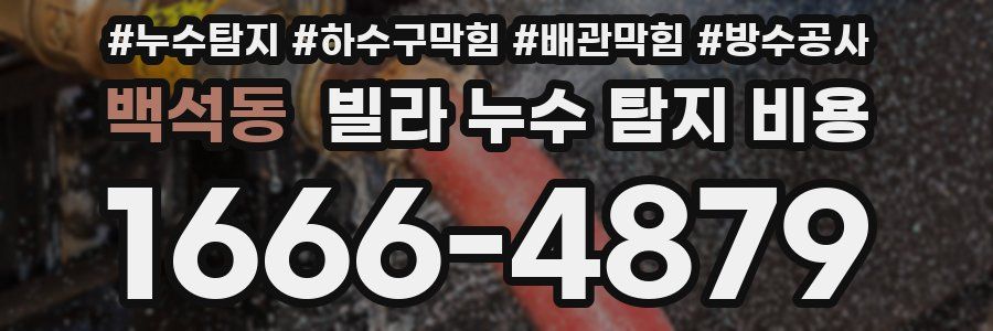 백석동 빌라 누수 탐지 비용