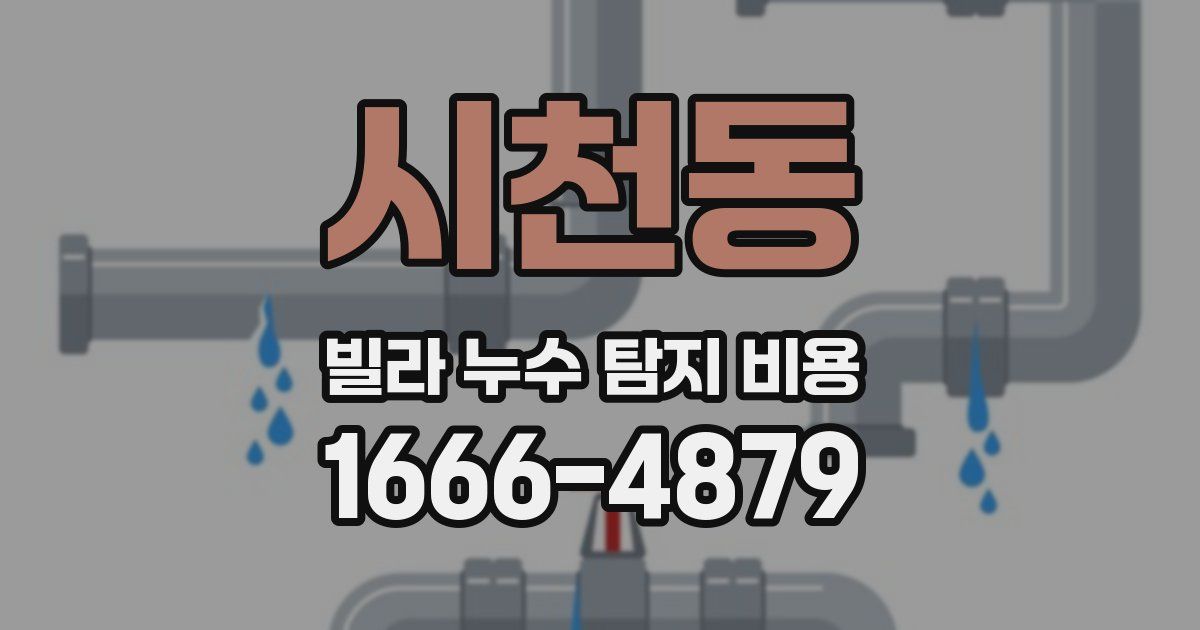 시천동 빌라 누수 탐지 비용