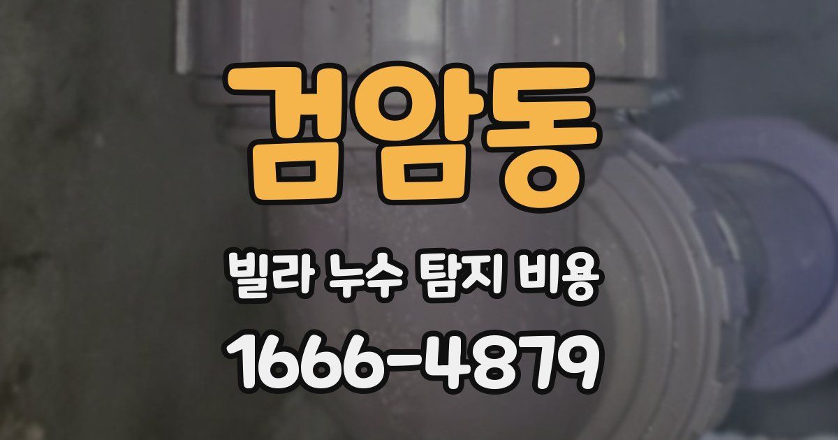 검암동 빌라 누수 탐지 비용