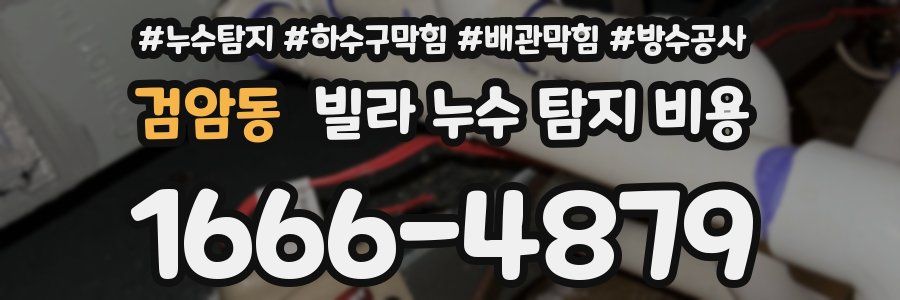 검암동 빌라 누수 탐지 비용
