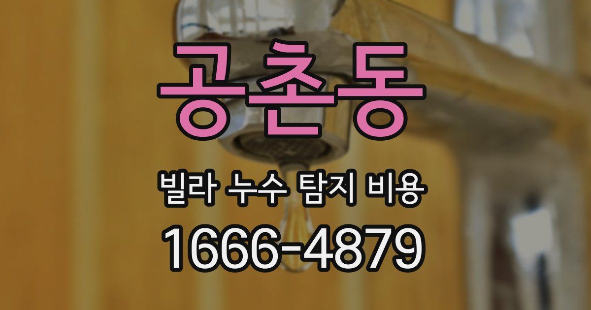 공촌동 빌라 누수 탐지 비용