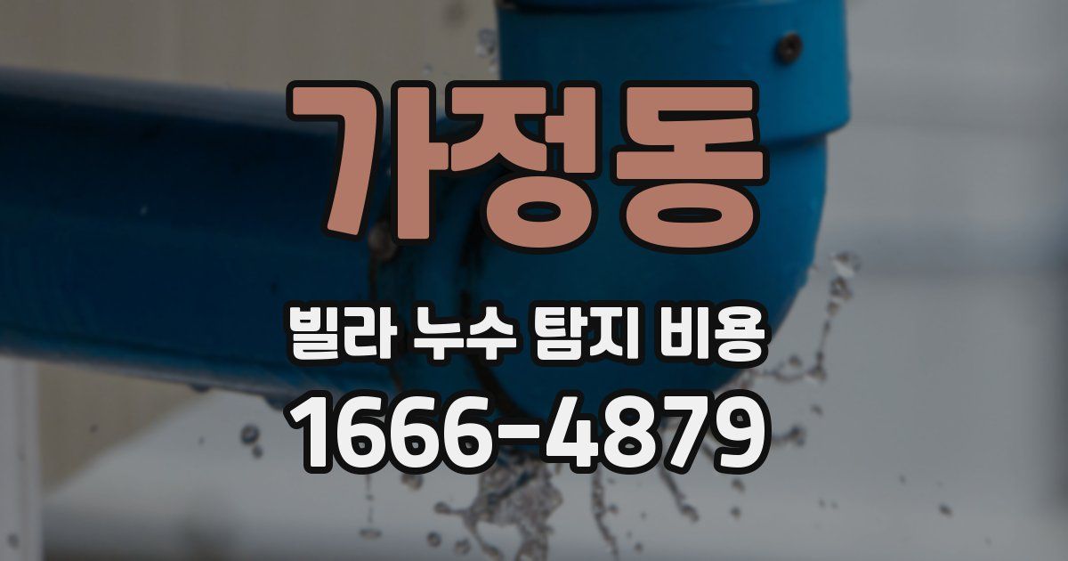 가정동 빌라 누수 탐지 비용