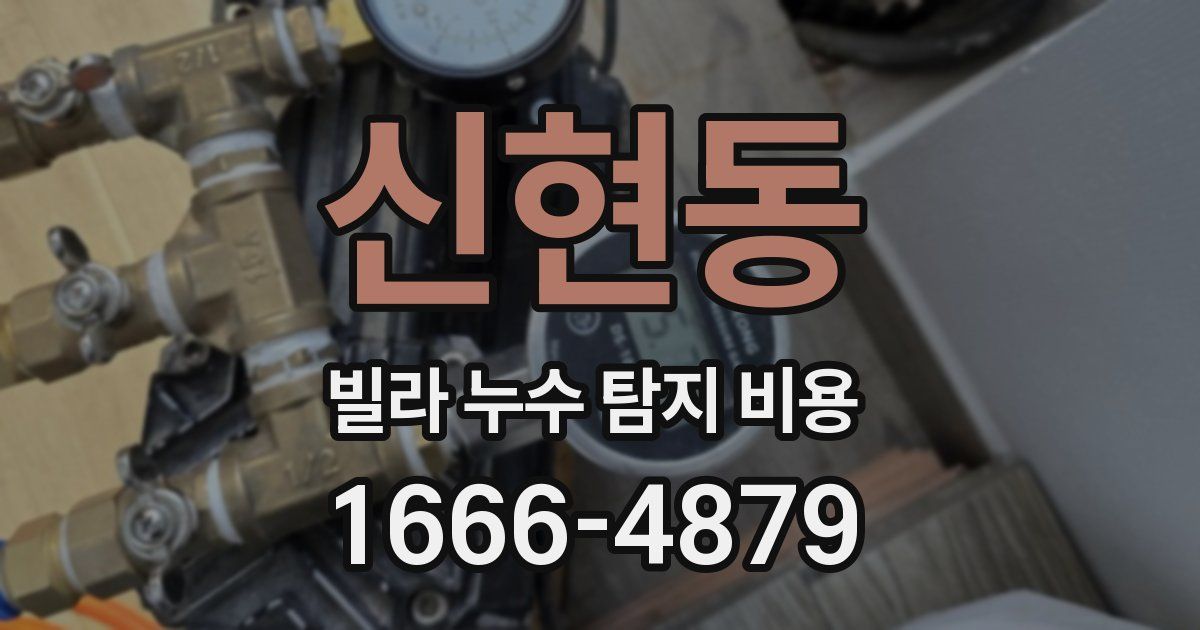 신현동 빌라 누수 탐지 비용