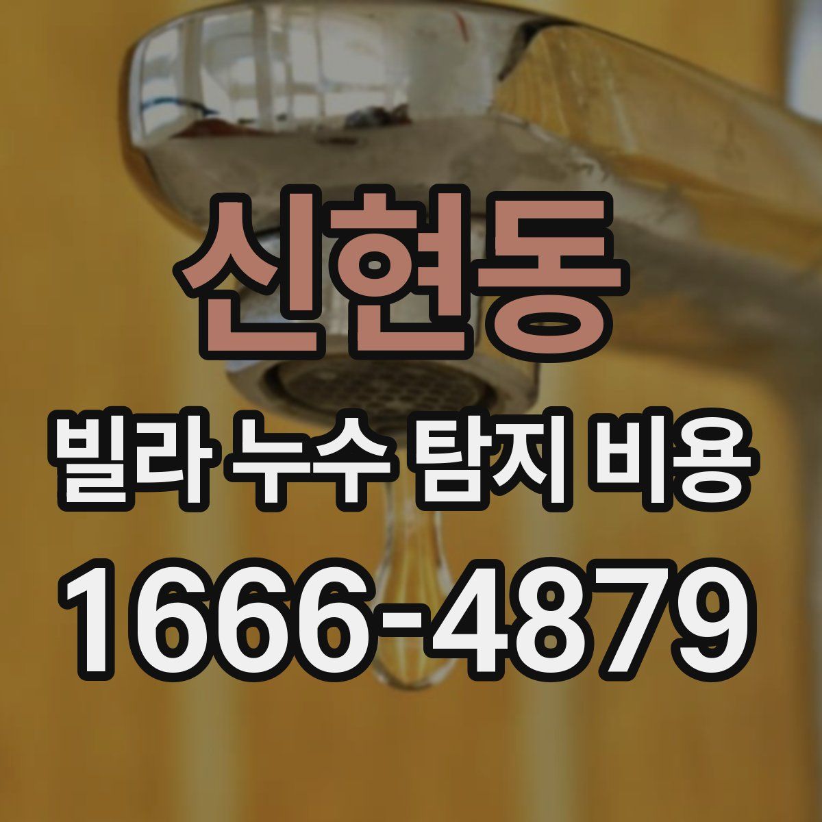 신현동 빌라 누수 탐지 비용