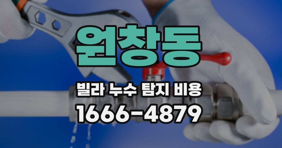 원창동 빌라 누수 탐지 비용