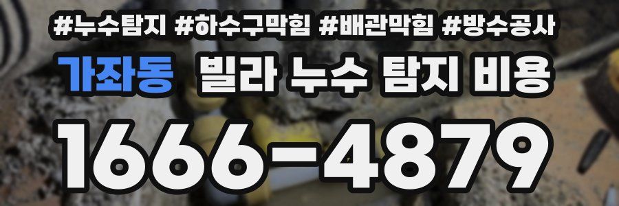 가좌동 빌라 누수 탐지 비용