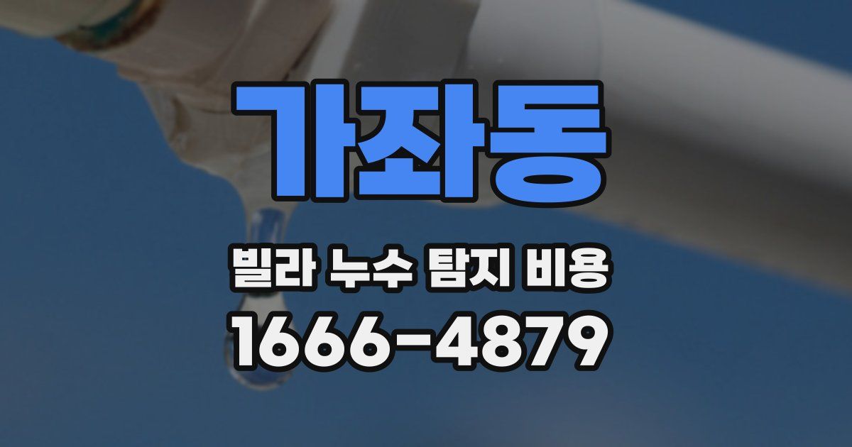 가좌동 빌라 누수 탐지 비용
