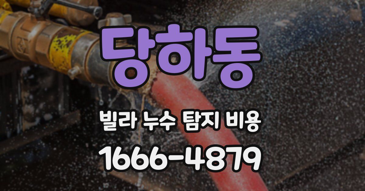 당하동 빌라 누수 탐지 비용
