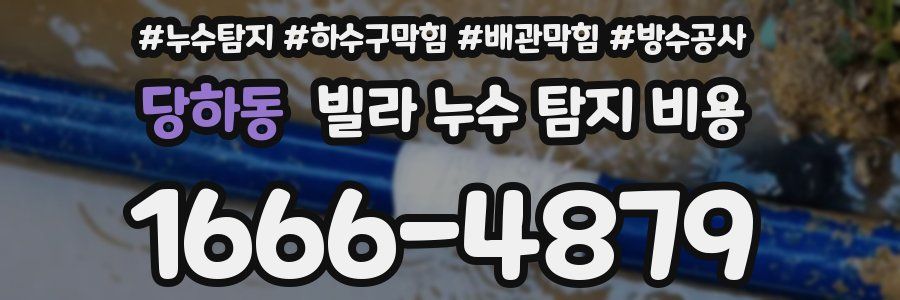 당하동 빌라 누수 탐지 비용