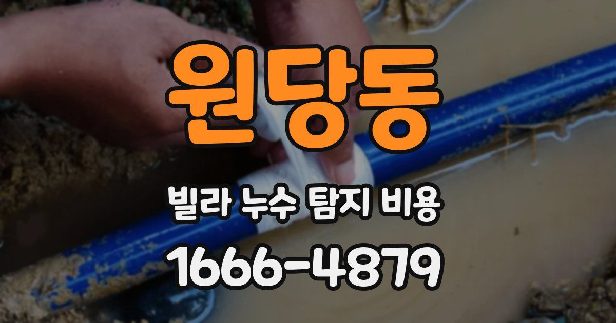원당동 빌라 누수 탐지 비용