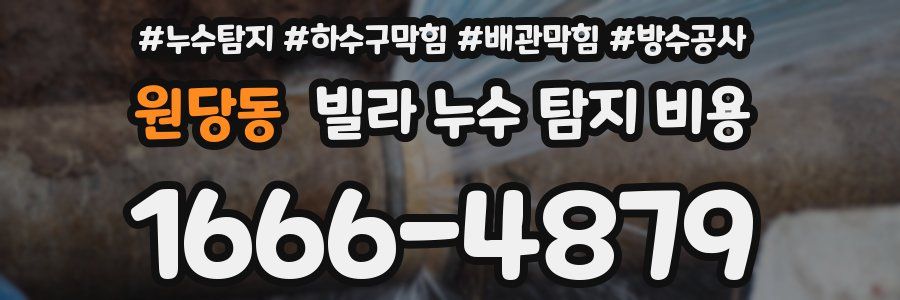원당동 빌라 누수 탐지 비용