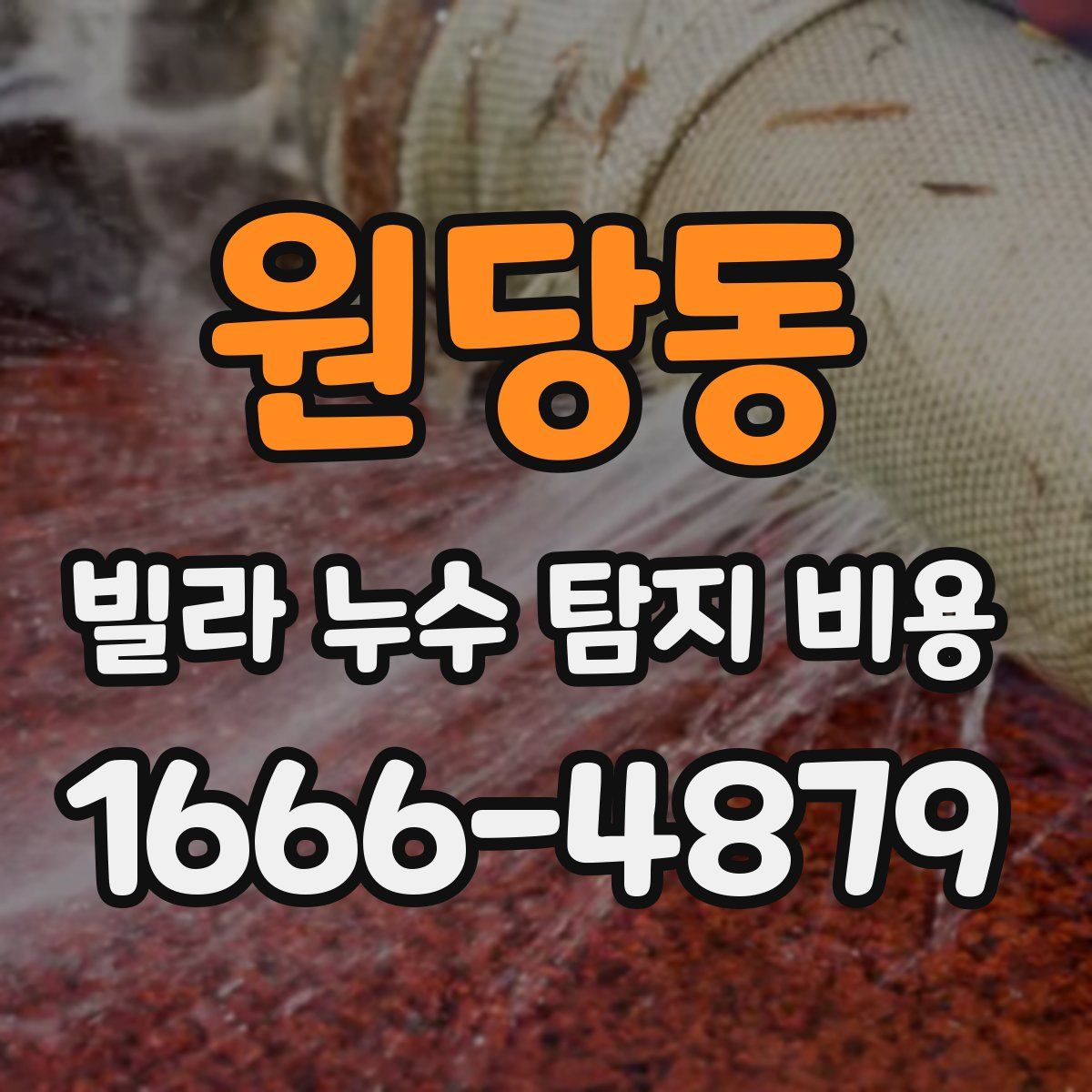 원당동 빌라 누수 탐지 비용