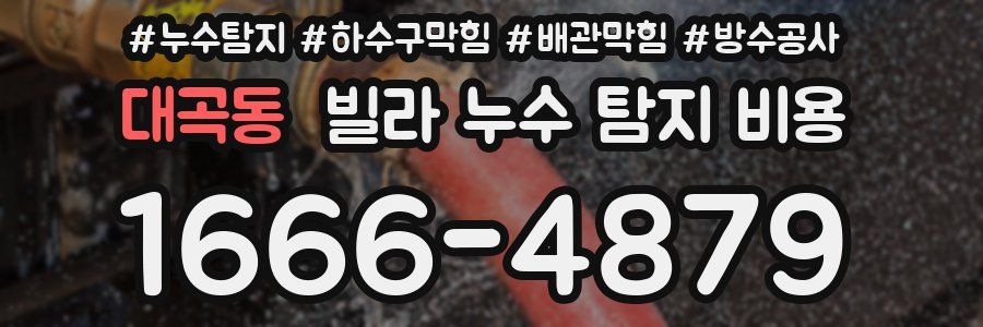 대곡동 빌라 누수 탐지 비용