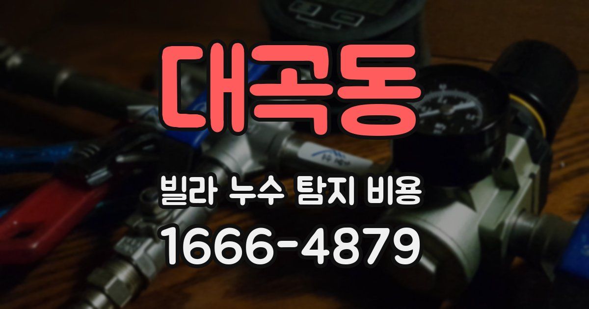 대곡동 빌라 누수 탐지 비용