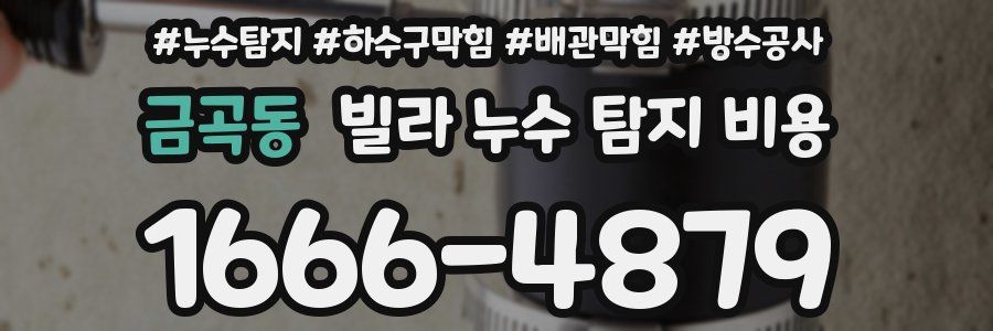 금곡동 빌라 누수 탐지 비용