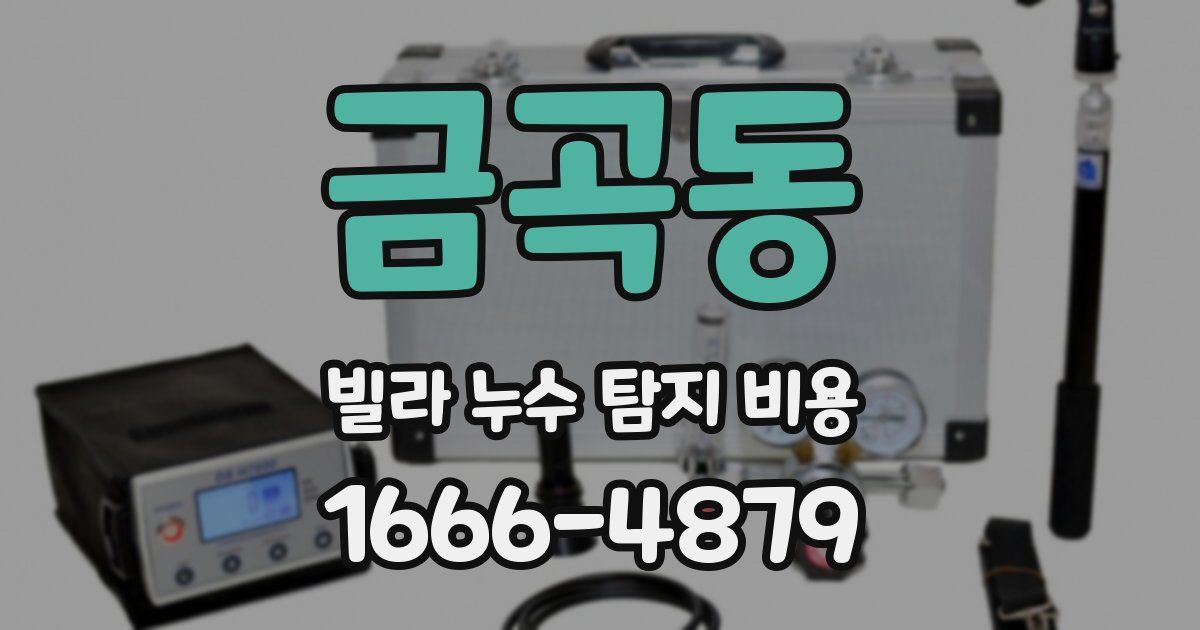 금곡동 빌라 누수 탐지 비용