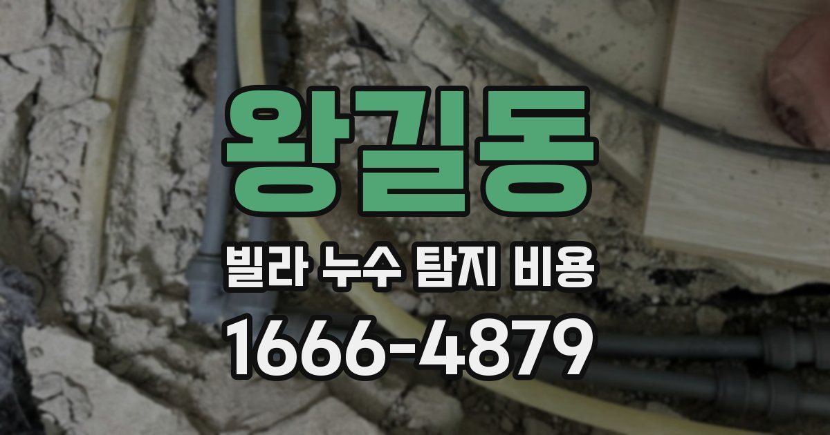 왕길동 빌라 누수 탐지 비용
