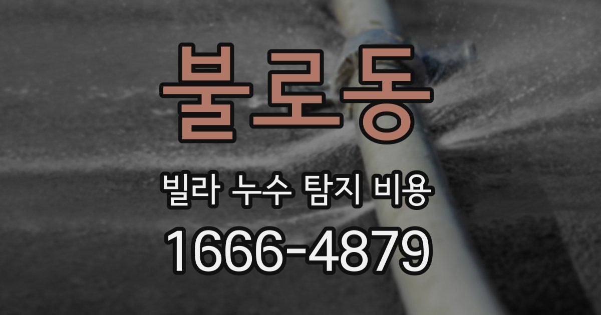 불로동 빌라 누수 탐지 비용