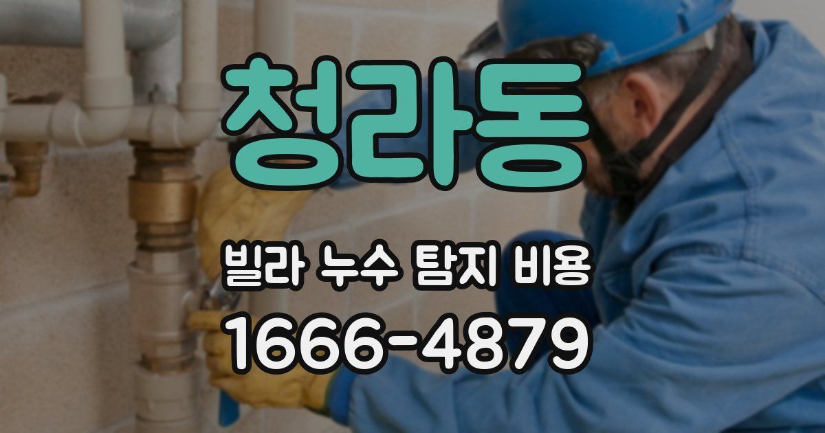 청라동 빌라 누수 탐지 비용