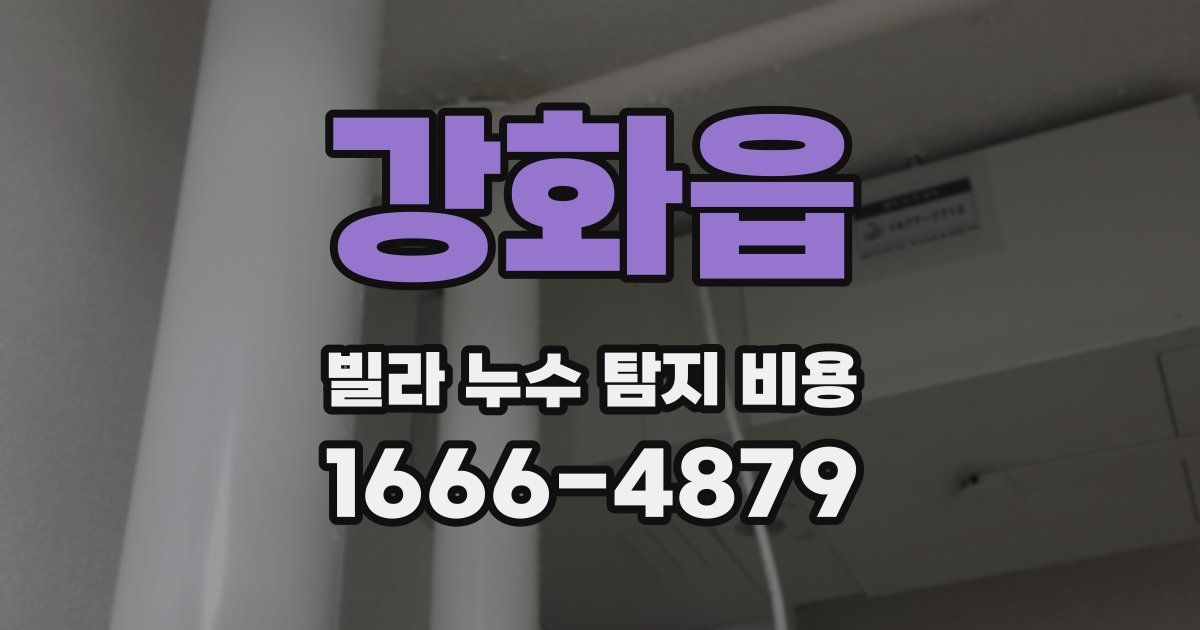 강화읍 빌라 누수 탐지 비용