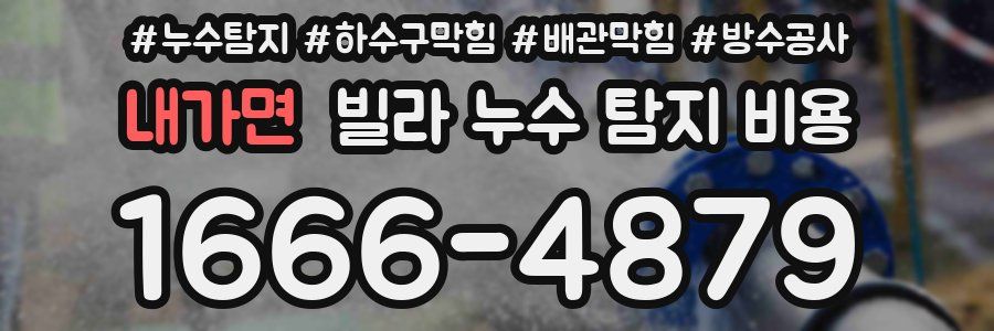 내가면 빌라 누수 탐지 비용