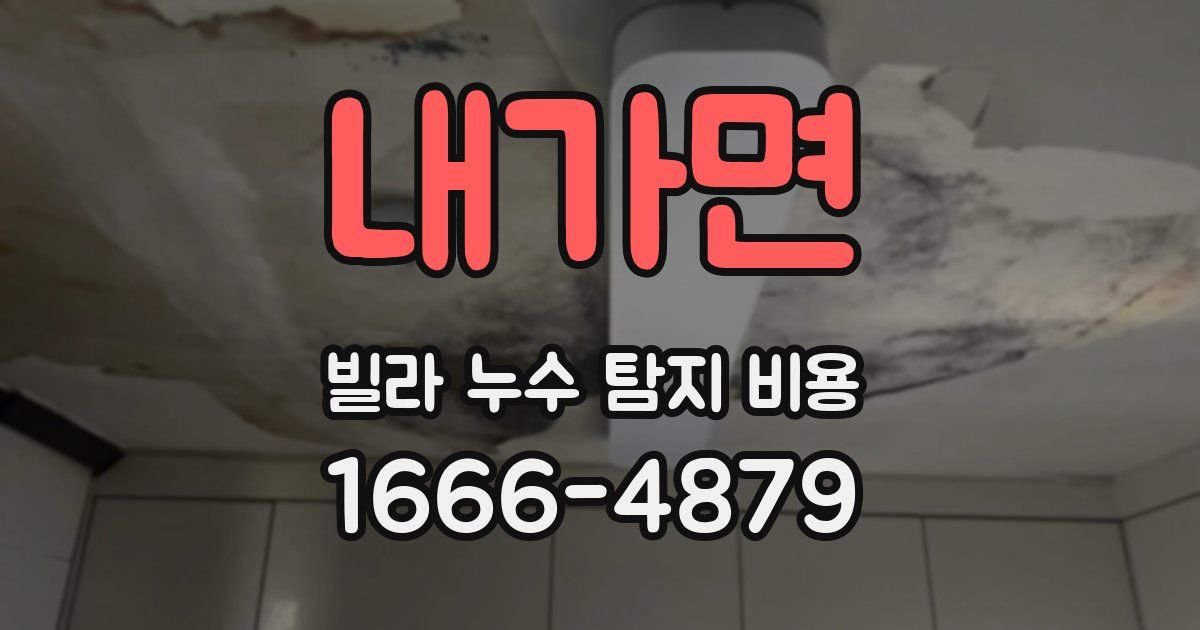 내가면 빌라 누수 탐지 비용