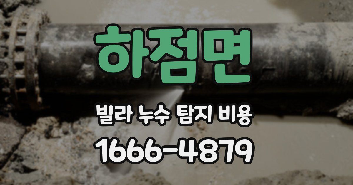하점면 빌라 누수 탐지 비용