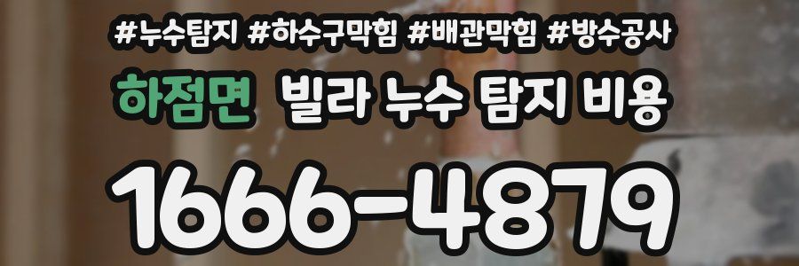 하점면 빌라 누수 탐지 비용