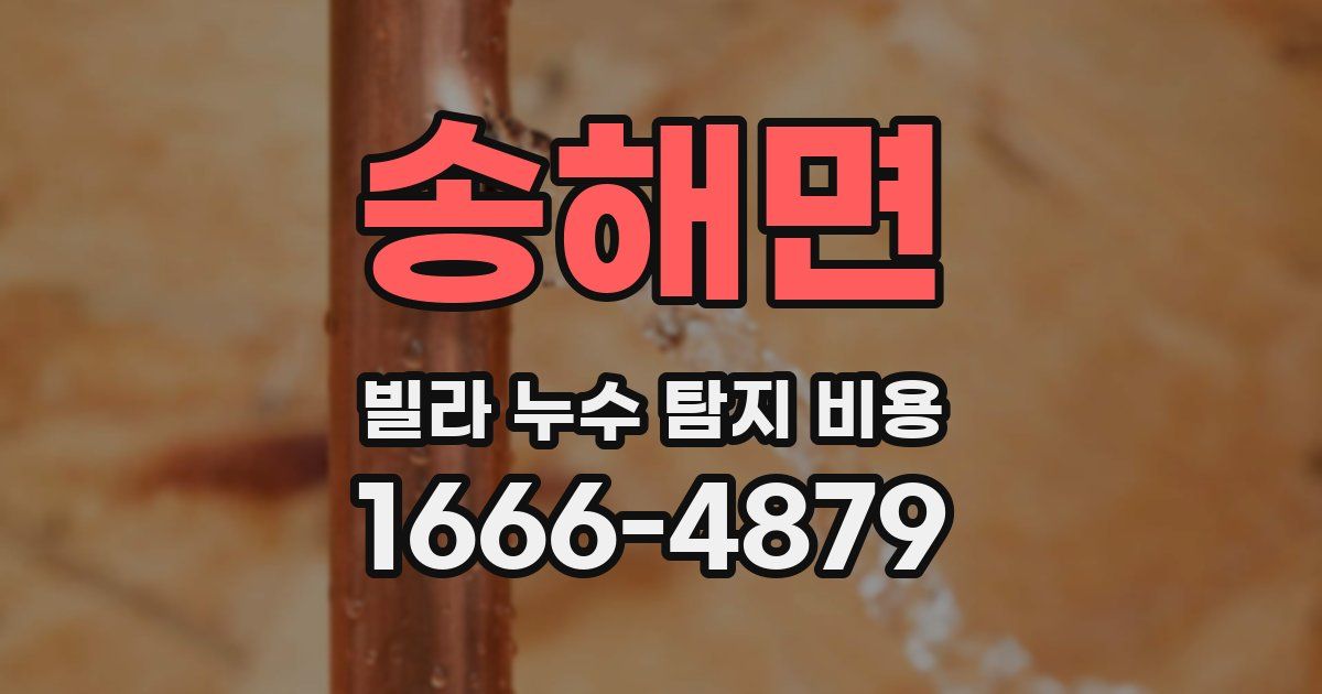 송해면 빌라 누수 탐지 비용